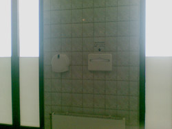 Туалет в Пулково